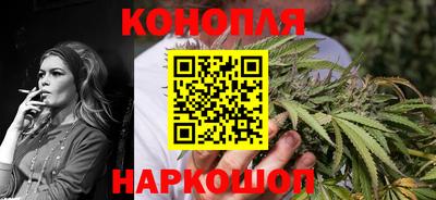 spice Новозыбков