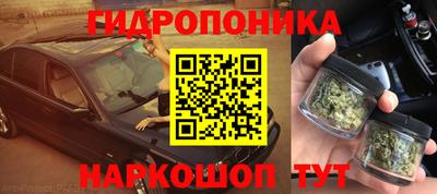 spice Новозыбков