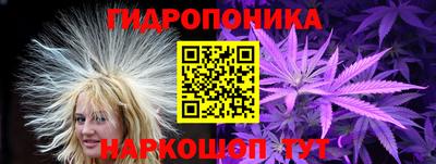 твердый Новодвинск