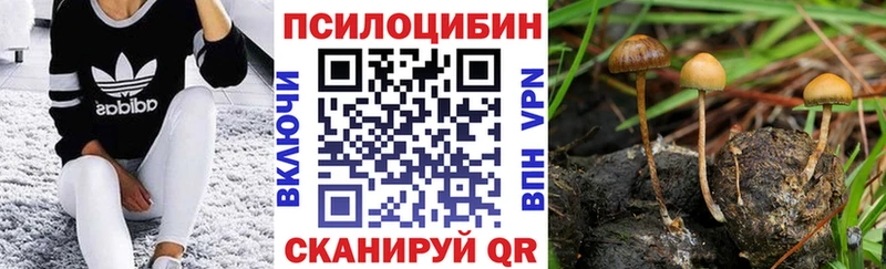 Псилоцибиновые грибы Psilocybe  Липецк 