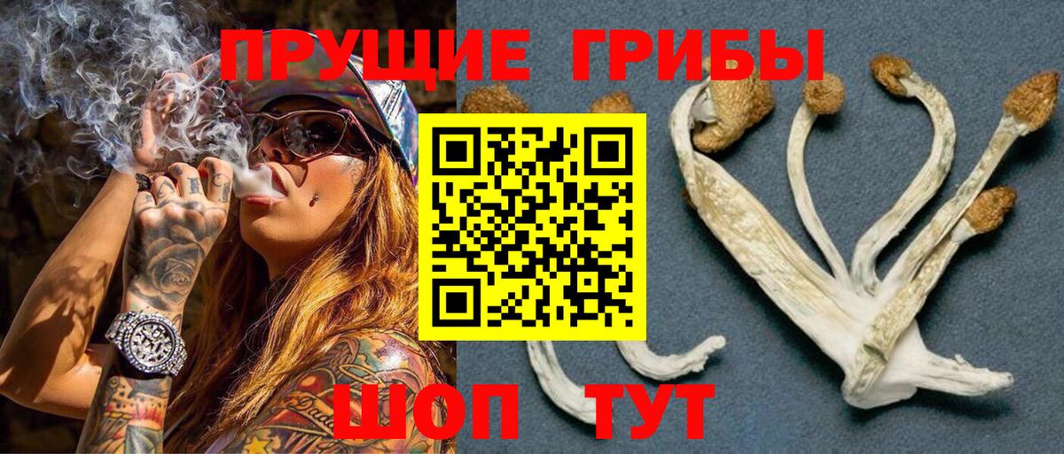 Псилоцибиновые грибы Magic Shrooms Липецк
