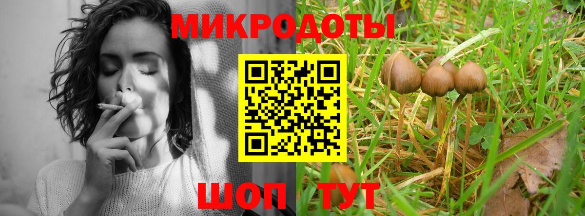 Галлюциногенные грибы Psilocybe  Липецк  Псилоцибиновые грибы ЛСД 