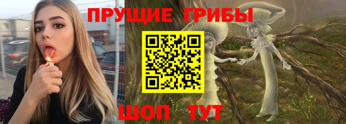 Галлюциногенные грибы Psilocybine cubensis  Вход с VPN  Липецк  Галлюциногенные грибы Cubensis 