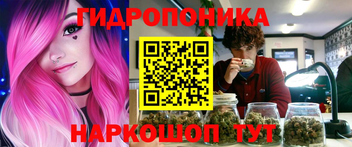 Шишки марихуана план  Канабис MAZAR  Вход с VPN  Липецк 